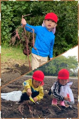 11月の子どもの姿